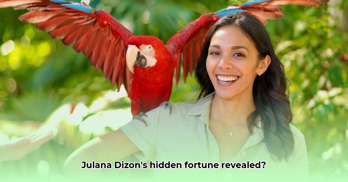 julana-dizon-net-worth